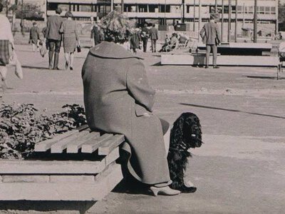 Katowice w PRL na bezcennych zdjęciach z prywatnego archiwum. Sentymentalny spacer po mieście lat 60 i 70