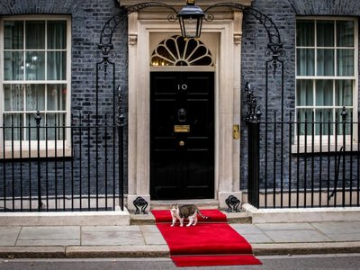 Konflikt zwierząt przy Downing Street. Premier podjął trudną decyzję