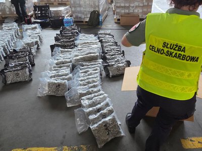 Prawie tona marihuany ukryta w kartonach z odzieżą. Nikt się nie zgłosił po jej odbiór