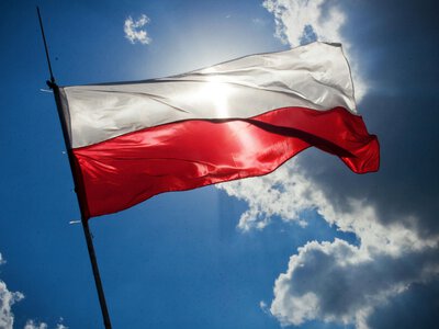 Polacy zamierzają bronić kraju czy wyjechać w wypadku zagrożenia? Sondaż wiele ujawn…