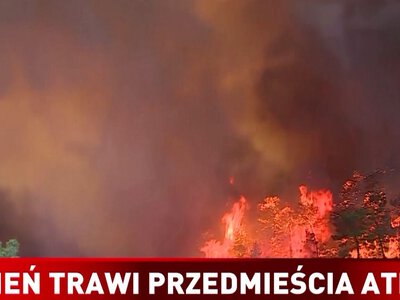 Pożary na przedmieściach Aten. Silny wiatr podsyca ogień i utrudnia pracę strażaków