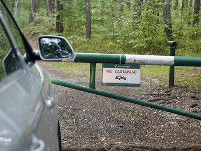 Nadleśnictwo apeluje do kierowców. Oto czym grozi zastawianie rogatek