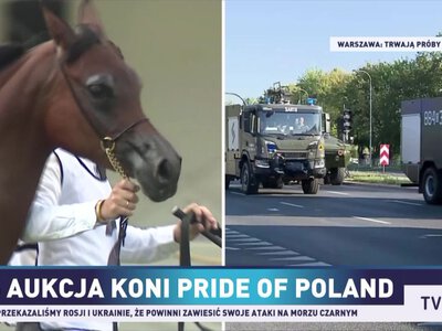 Dni Konia Arabskiego w Janowie Podlaskim