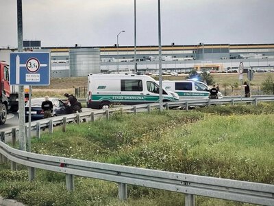 Ukrainka i Gruzin powstrzymani przez SG. Próba przerzutu do Niemiec