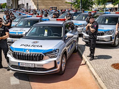 Ostra pokuta. Nie płacisz mandatu? Pójdziesz sprzątać ulice! Słowacja walczy z drogowymi piratami