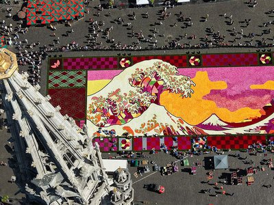Kwiatowy gigant na Grand-Place. Niezwykłe dzieło z 750 tys. roślin