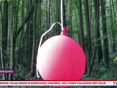 Balon z kartką przeleciał 800 km