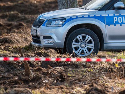 Sarna wybiegła na drogę. Doszło do tragedii. Nie żyje 34-letnia kobieta