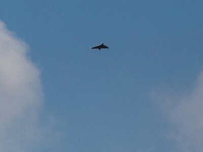 Dron zestrzelony w Rumunii. Rzecznik NATO: Prawdopodobnie rosyjski