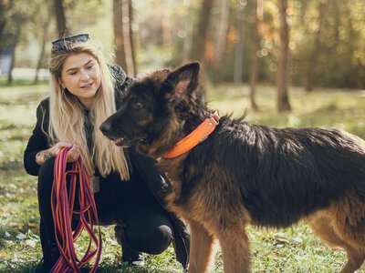 Kochające domy są często przekleństwem dla psa. Miało być pięknie, ale urósł za duży