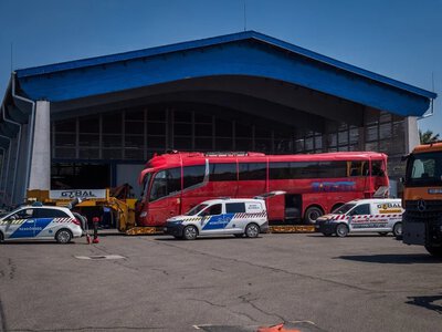 Wypadek pielgrzymów, dramatyczne relacje ocalałych. Płakali, wołali bliskich