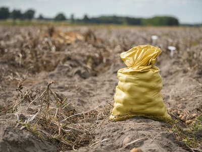 Rolnik postawił „Kartoflomat” przy drodze. Da się nawet zapłacić Blikiem