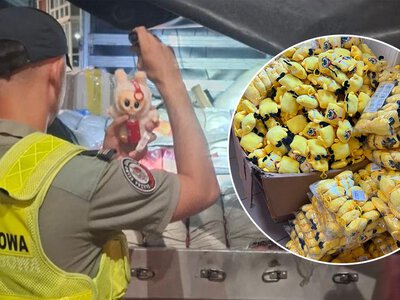 Pluszowe, a niebezpieczne. Te zabawki miały trafić do tysięcy dzieci
