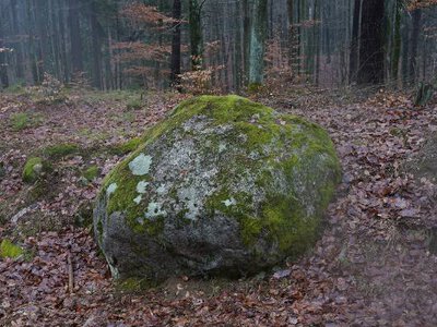 Dziwne ślady na kamieniu. Tajemnicza historia z Pomorza