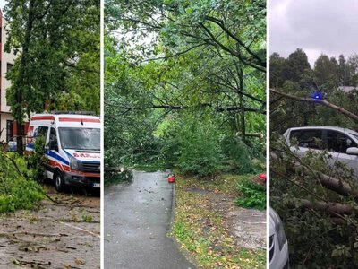 Wichury nad Polską. Drzewa spadały na samochody, zamknięto parki