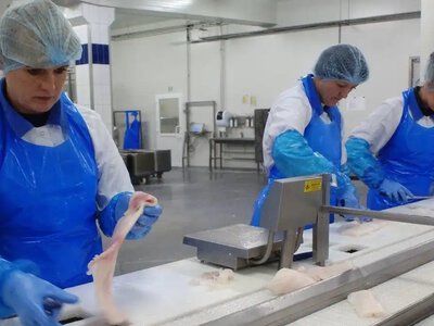 Kilkaset osób do zwolnienia. Firmę dławią m.in. ograniczenia w połowach dorszy