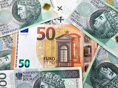 Kurs euro do złotego. Ekonomistka rysuje scenariusze. Mało pozytywów