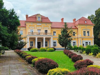 Mogliśmy mieć własny Wersal? Polski dwór skradł serce francuskiego króla