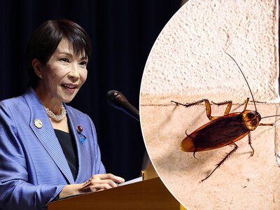 Pozbyli się karalucha z rezydencji premierki Japonii. „Poczułam smutek”