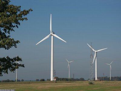 Kiedy wiatraki produkują najwięcej prądu? Nieoczywista odpowiedź