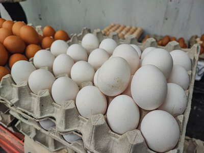 Ponad 300 zakażeń salmonellą w Belgii. Skażone jaja mogły trafić do Polski