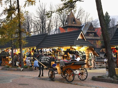 Wygląda odrażająco. Postawił to w centrum Zakopanego. W mieście wrze