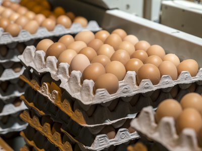 Branża pełna obaw. Niepokojące presje cenowe