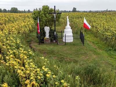 Ślady egzekucji, szczątki kobiet i dzieci. Pogrzeb ofiar zbrodni wołyńskiej
