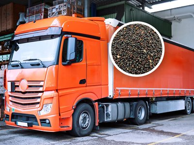 Zatrzymali transport z Serbii. Oto co miało trafić do Polski