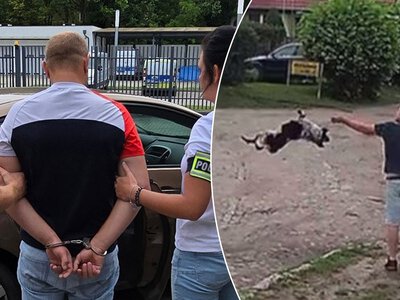 Gracjan S. rzucił psem, bo go zdenerwował. Sąd nie miał dla niego litości