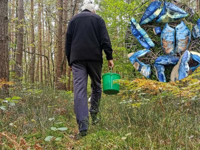 Wygląda jak z Avatara, a Polacy go zajadają. Znacie tego grzyba?