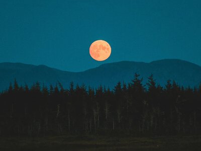 Gwiazdy ujawniły prawdę na wrzesień. Jeden znak zodiaku przeżyje szok