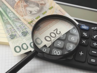 Rekord zgłoszeń do skarbówki. Ekspert: Część to donosy na sąsiadów