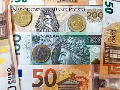 Euro, dolar i funt zmieniły kurs. Natychmiastowa reakcja złotówki