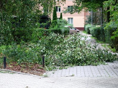 Nawet kilkadziesiąt tysięcy złotych. Te składki w ZUS można dziedziczyć