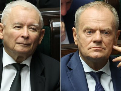 Konfederacja w koalicji z PiS czy KO? Polacy wybrali. Są wyniki nowego sondażu