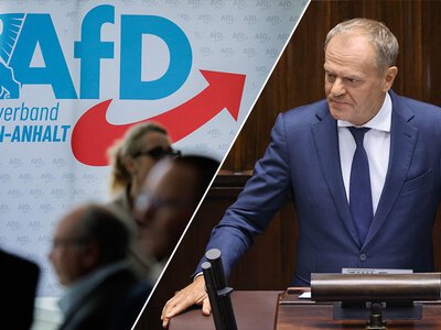 Tusk ostro o AfD. „Jawnie prorosyjskie i jawnie antypolskie”