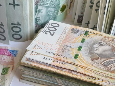 Nie tylko 800 plus. Ekspert ostrzega przed rewolucją