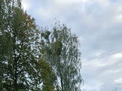Parkingi tylko dla Ukraińców w Polsce wywołały burzę. Prawda jest zupełnie inna