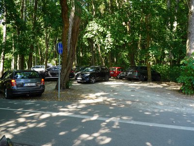 Gdzie zostawić samochód przed wejściem do lasu? Nie każde miejsce nadaje się do parkowania