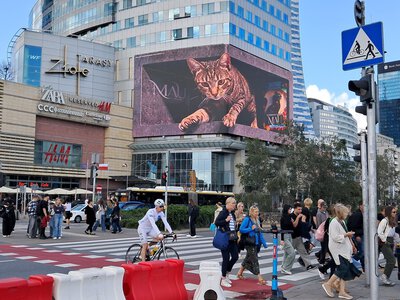 Polska jest na wojnie z Rosją. Mocne słowa premiera