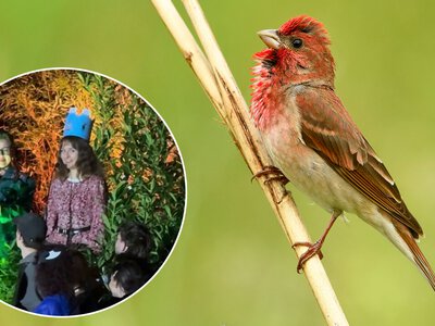 Naśladuje głosy ptaków jak nikt inny. Poznaliśmy mistrzynię Polski