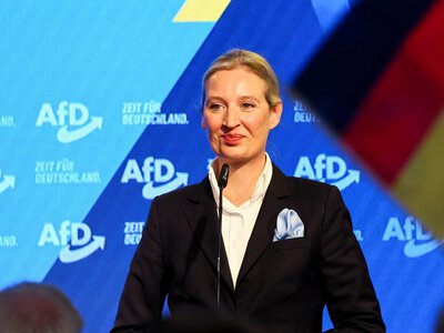 Aktor porno, agent Stasi i neonaziści. Mroczne życiorysy nowych deputowanych AfD