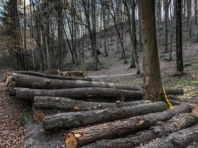 Rząd chce uporządkować rynek opału. Nadchodzą ważne zmiany