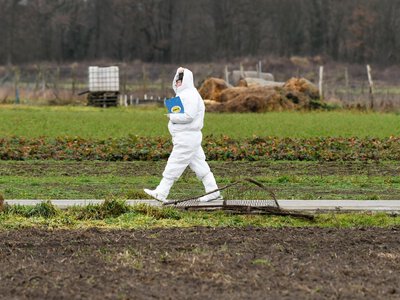 System jest patologiczny. Dostajemy umowy na pół roku i brak przelewów