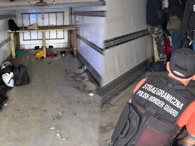 Migranci ukryci w chłodni ciężarówki. Szokujące odkrycie służb