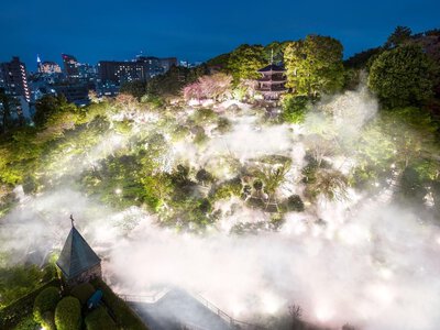 Zanurzyć się w zieleni i spowić we mgle. Hotel Chinzanso Tokyo – siedem wieków historii w samym sercu metropolii