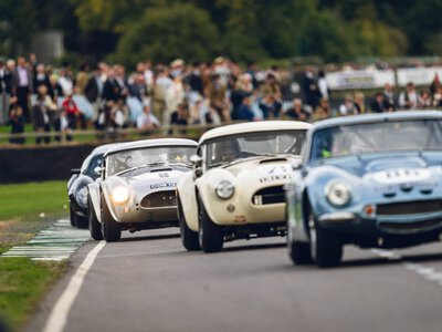 Goodwood Revival 2026 na żywo w Motowizji. Legendy motorsportu wracają na tor