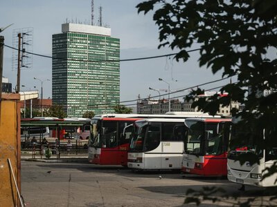 Firmy przewozowe pod ścianą. Dokładamy, żeby zrealizować przejazdy