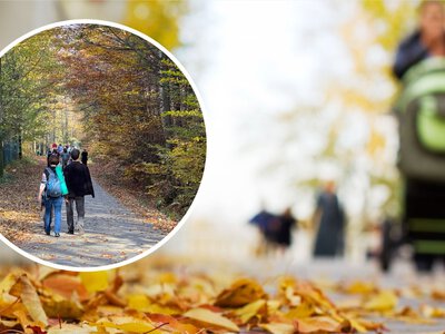 W piątek więcej słońca i mniej opadów. Temperatura dojdzie do 22 stopni, ale nie wszędzie